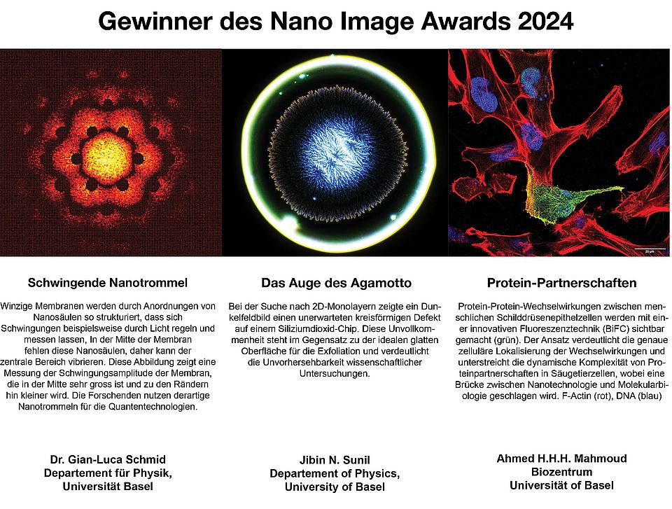 3 Bilder, die den Nano Image Award 2024 gewonnen haben