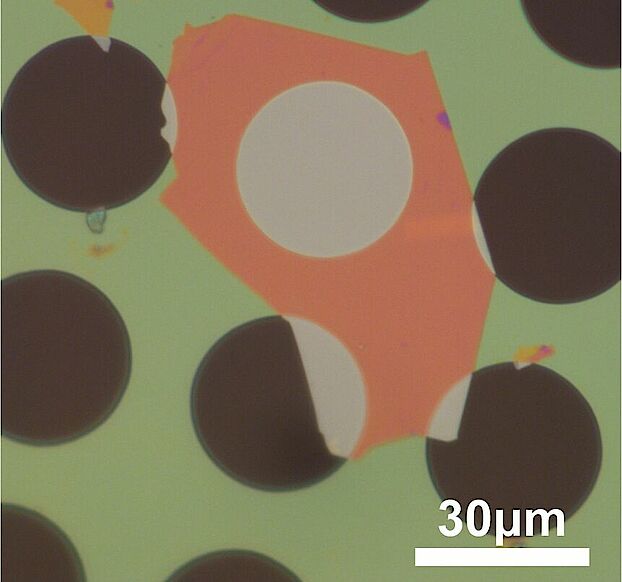 Eine zweidimensionale Bornitrid-Schicht ist über Löchern in einer Siliziumnitridmembran angebracht. Die Vorrichtung könnte als optomechanischer Sensor verwendet werden. (Bild: D. Jaeger, Departement Physik, Universität Basel)