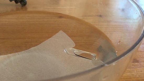 Die Büroklammer schwimmt