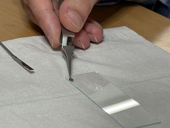 Pulver wird auf Gitter platziert