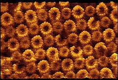 Nature as a model: Nanoturbines as energy sources of the cell (Andreas Engel) See also: Module 1 – Nanobiology