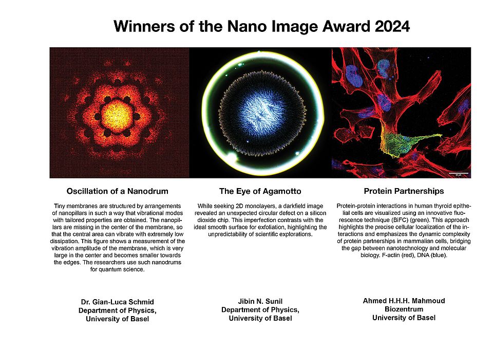 3 images that won the Nano Image Award 2024