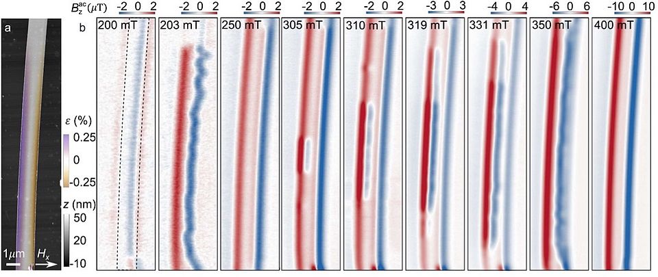 Abhängigkeit der Magnetfelder bei zunehmender Dehnung des Chromsulfidbromid-Bandes (Departement Physik, Universität Basel)