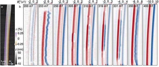 Abhängigkeit der Magnetfelder bei zunehmender Dehnung des Chromsulfidbromid-Bandes (Departement Physik, Universität Basel)