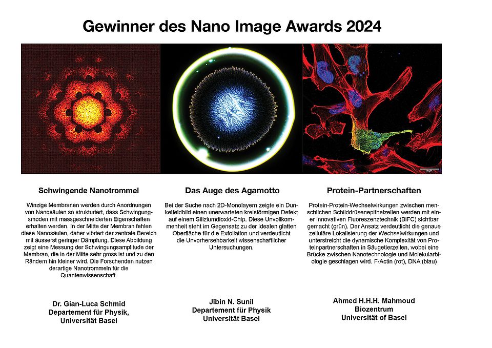 Gewinnerbilder das Nano Image Awards 2024