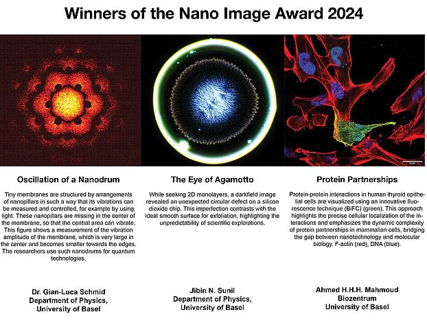 * Images that won the Nano Image Award