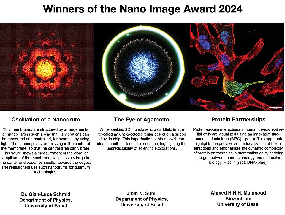 * Images that won the Nano Image Award