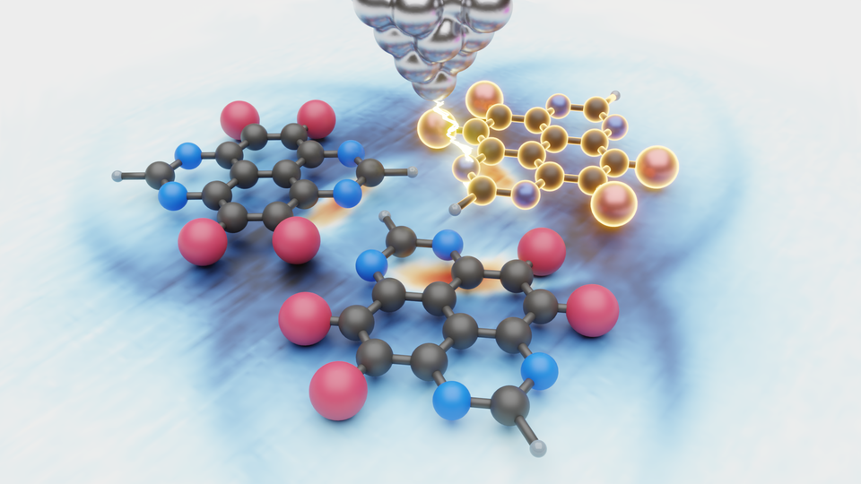 Illustration of the molecule clusters