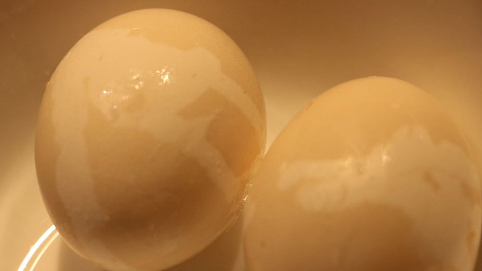 Gefärbte Eier