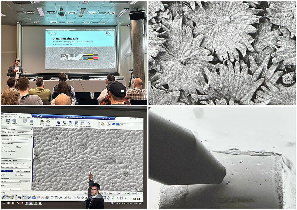 Collage aus Bildern vom Vortrag