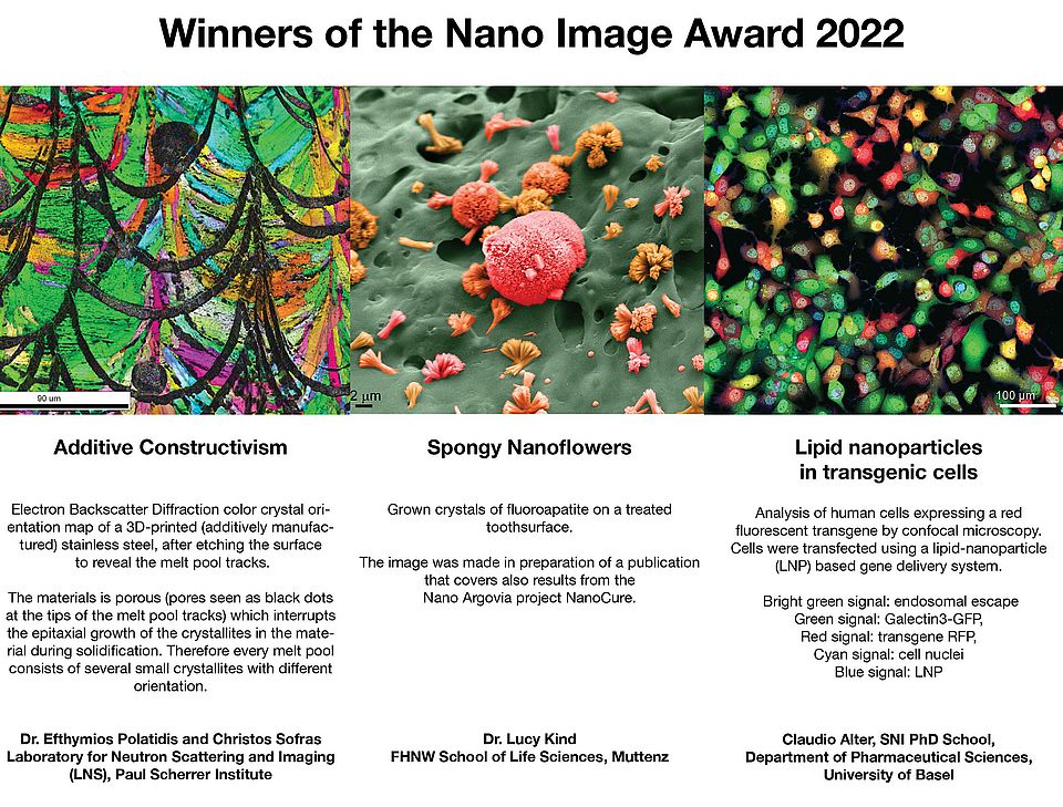 Winner of the Nano Image Award 2022