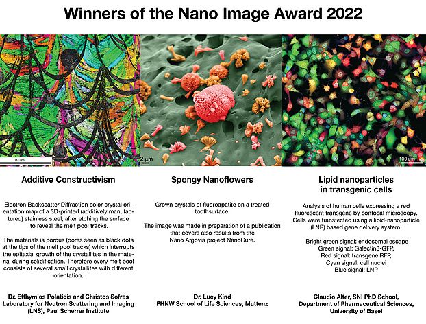 Winner of the Nano Image Award 2022