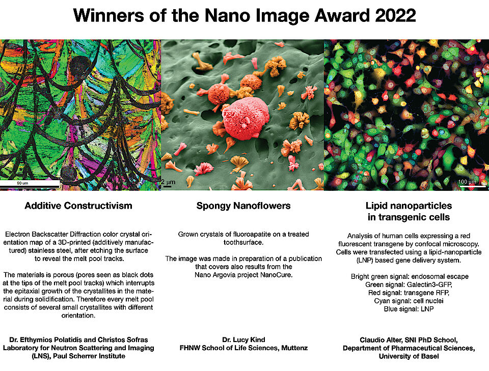 Winner of the Nano Image Award 2022