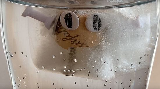 Besondere Eiswürfel