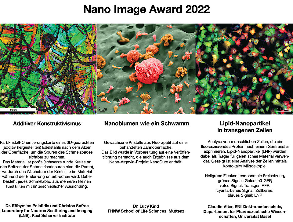 Gewinnerbilder des Nano Image Awards 2022
