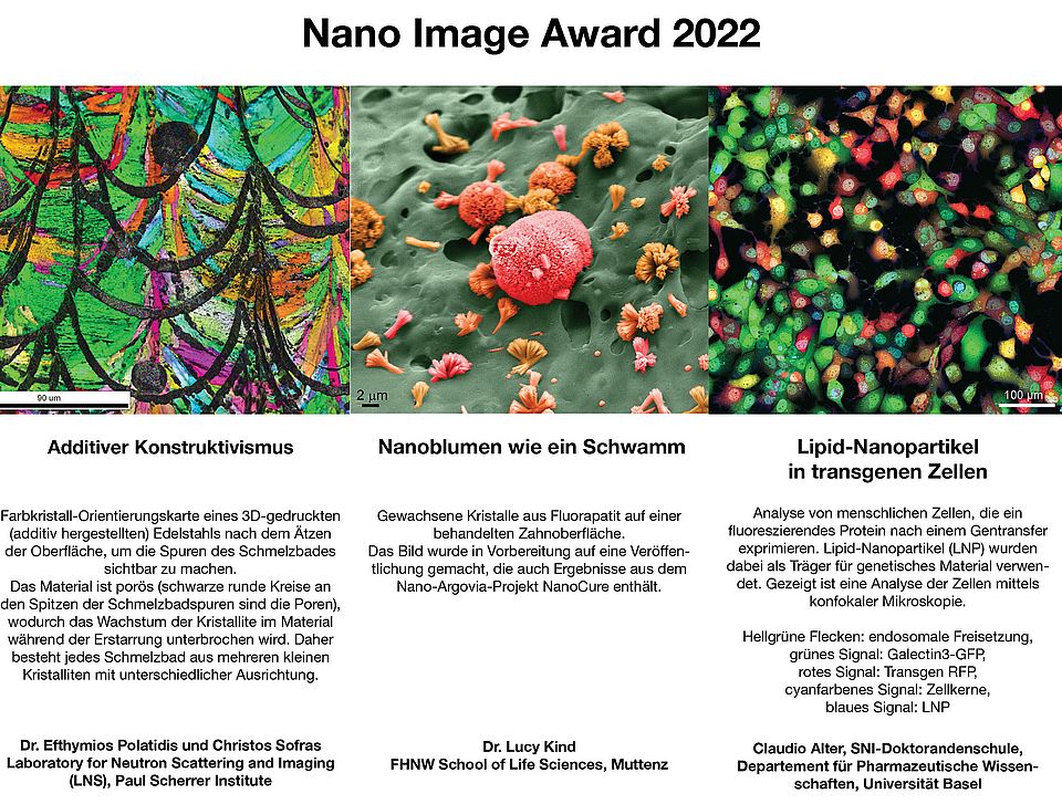 Gewinnerbilder des Nano Image Awards 2022