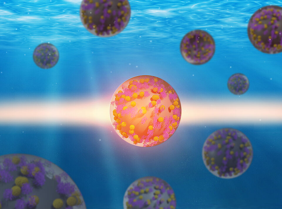 Nanopartikel mit Enzymen