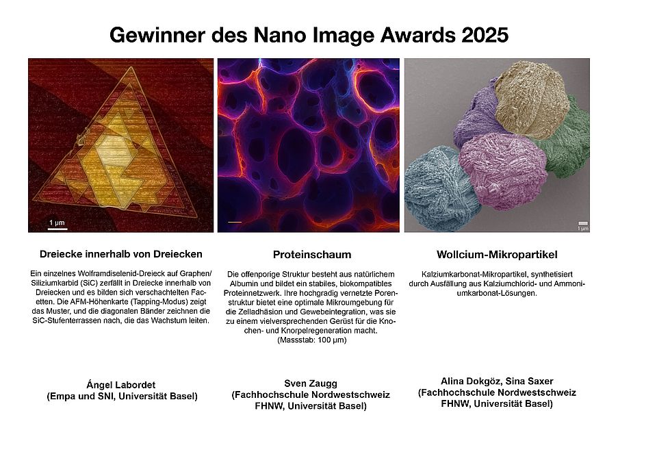 Gewinnerbilder des Nano Image Awards 2025