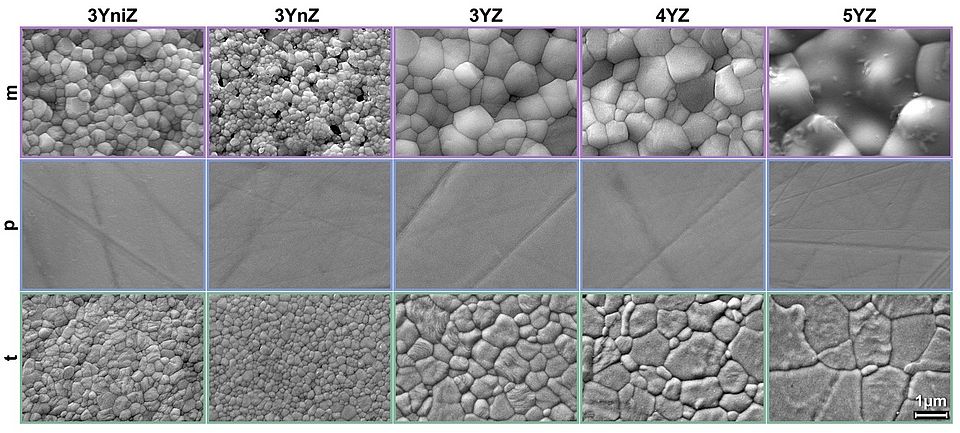 SEM images of different surfaces