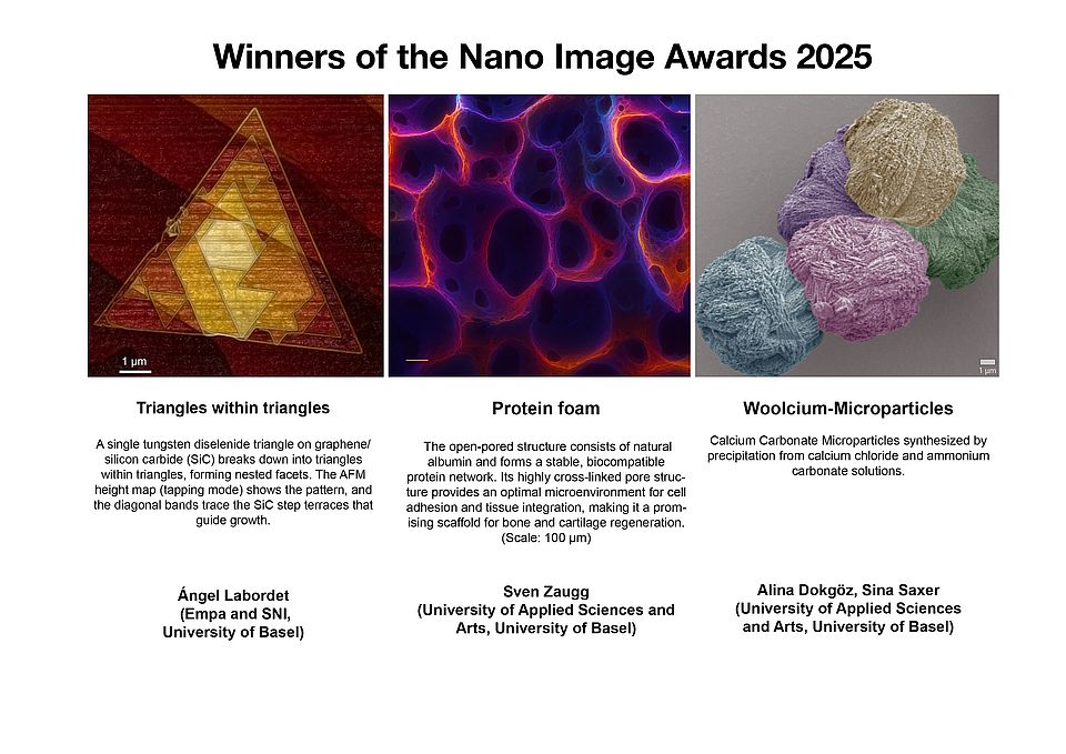 Winning images of the Nano Image Award 2025