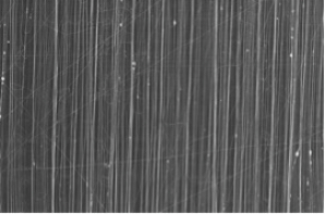 Elektronenmikroskopische Aufnahme einer Nanofaser-Schicht