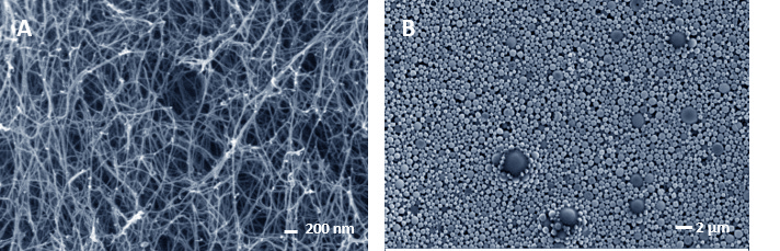 Scanning electron micrograph of the (A) fibrous peptide network structure and the (B) microparticles.
