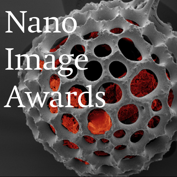 Nano Image Awards