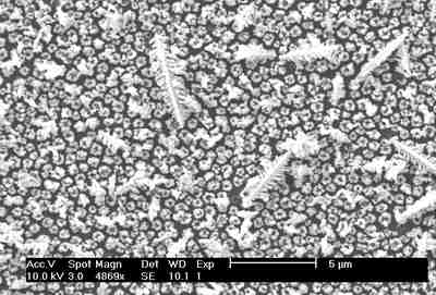CSEM SEM images of the controlled positioning of Silver nanoparticles
