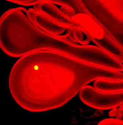 Fluoreszenzmarkierte Liposomen (rot) mit einem Nanopolystyrolpartikel (gruen) innerhalb der Liposomen
