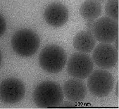 Nanoparticles synthesized in our laboratory