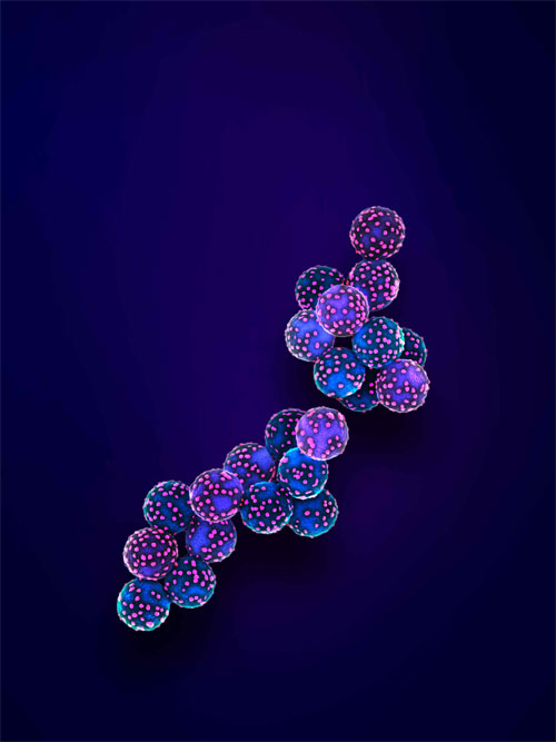 Virus-imprinted nanoparticles