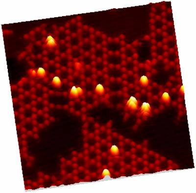 Submonolayer of DPDI Submonolayer of DPDI (4,9-diaminoperylene-quinone-3,10-diimine, a Perylen derivate) on Cu(111) surface. Under the influence of heat (300°C) a hexagonal network of Perylen-derivatives (DPDI) is formed. The emerging holes can be used to catch other molecules - here C60-molecules. (Picture: Meike Stöhr)