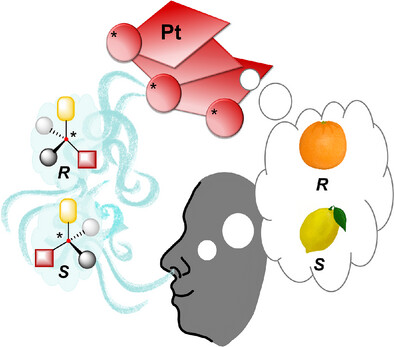 Schematische Darstellung des Funktionsprinzips